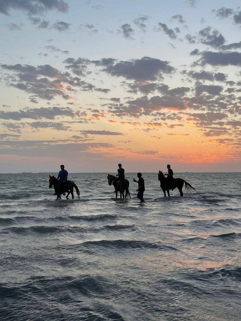 Experiencia de paseo a caballo por el mar en Jeddah.