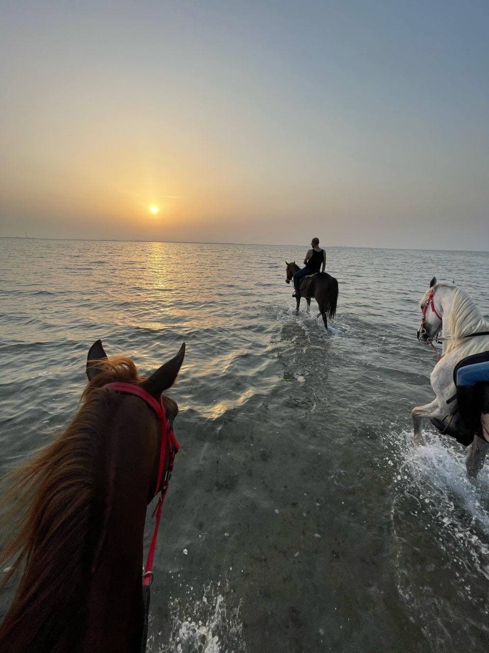 Experiencia de paseo a caballo por el mar en Jeddah.