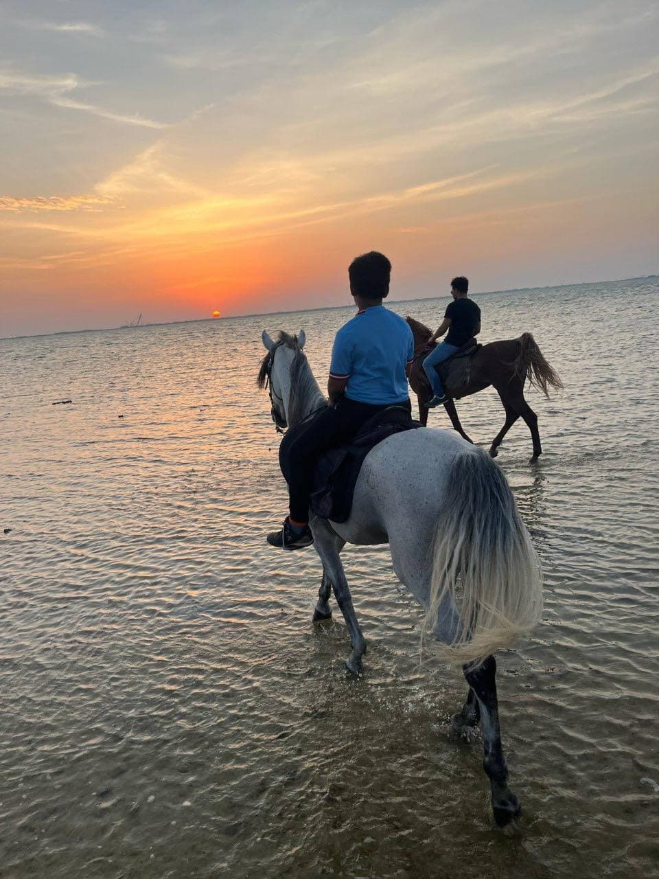 Experiencia de paseo a caballo por el mar en Jeddah.