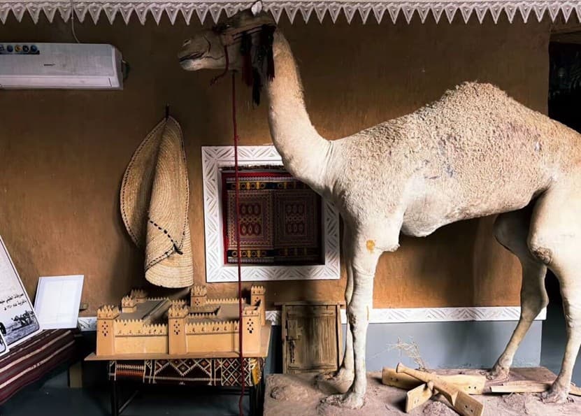 A tour of Buraydah and Unaizah, Asib Street and Al-Aqilat Museum 🌴