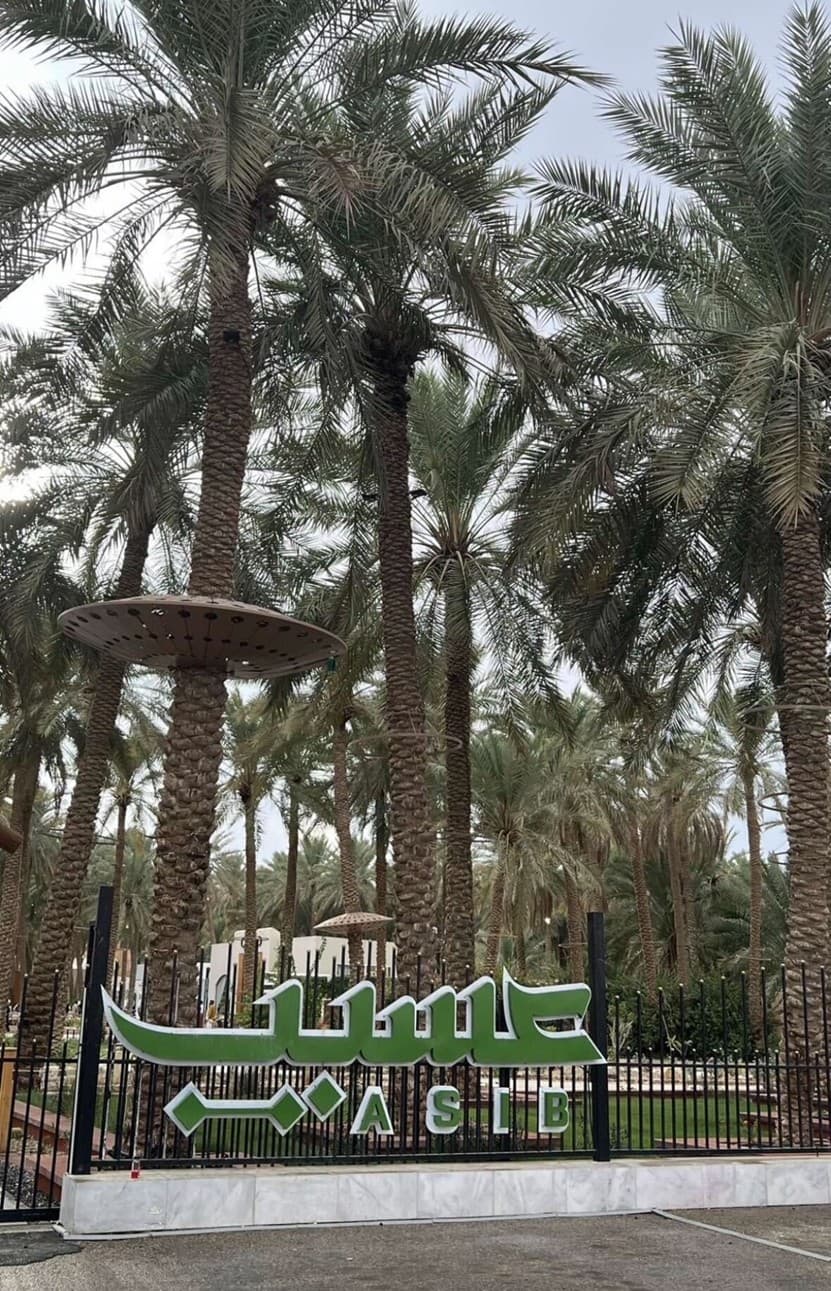 A tour of Buraydah and Unaizah, Asib Street and Al-Aqilat Museum 🌴