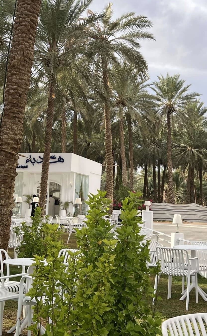 A tour of Buraydah and Unaizah, Asib Street and Al-Aqilat Museum 🌴