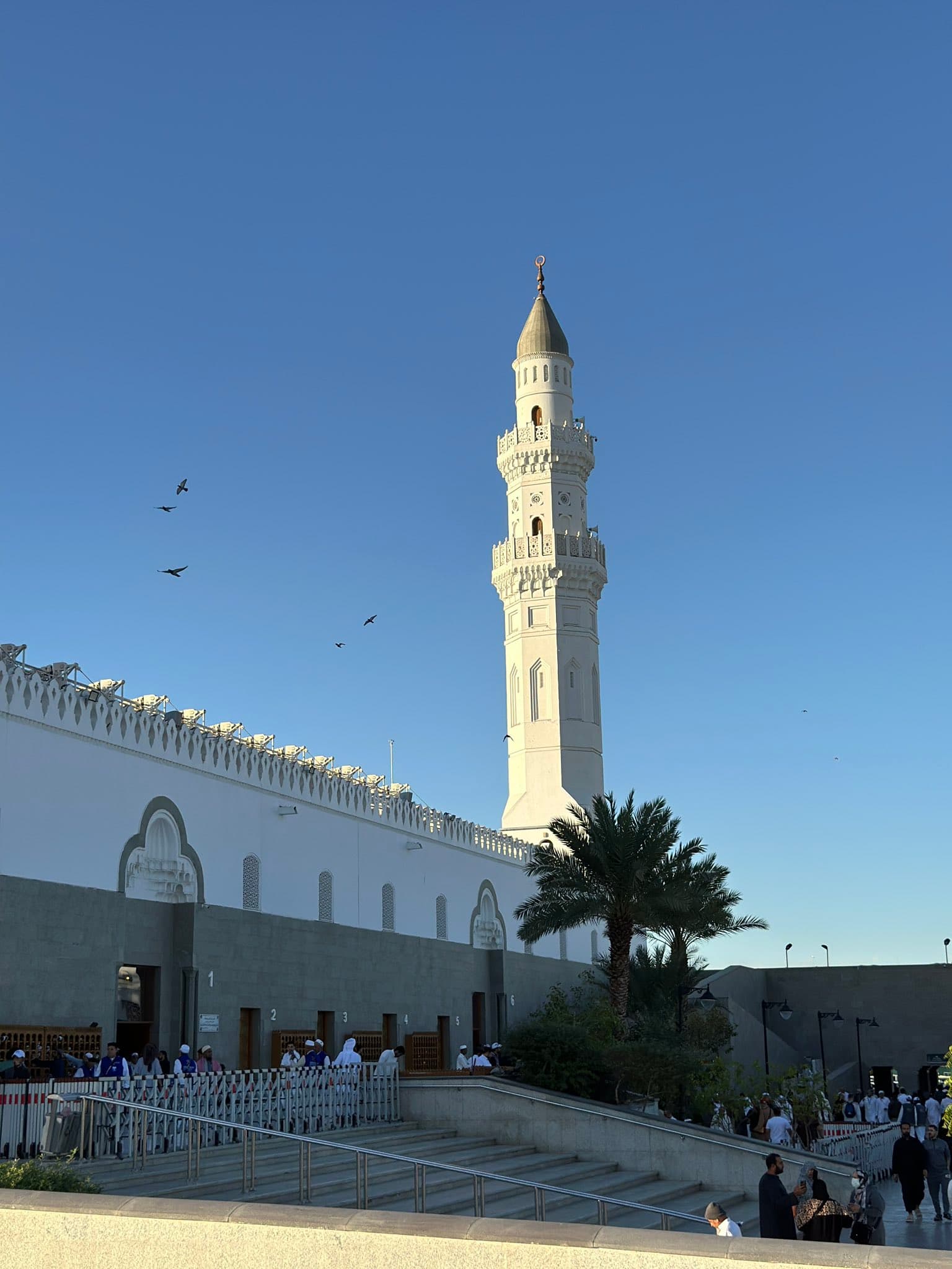 The Biography Experience: A Journey to Quba and the Shaded Garden