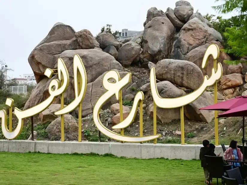 ابھا میں جیکارنڈا سیزن کا تجربہ کریں - دلکش وایلیٹ ٹور