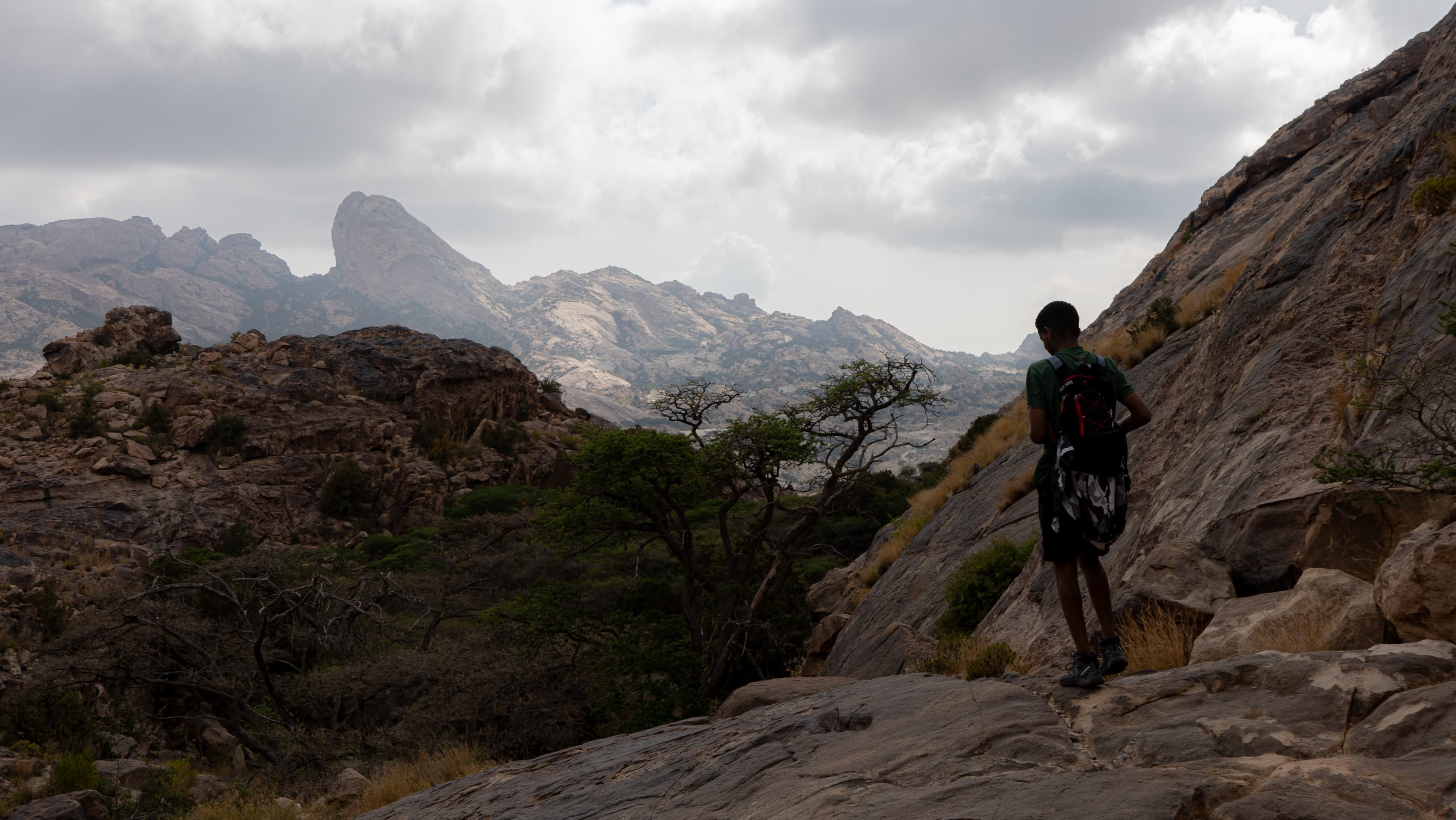 جراسک پارک ٹریل | تنومہ