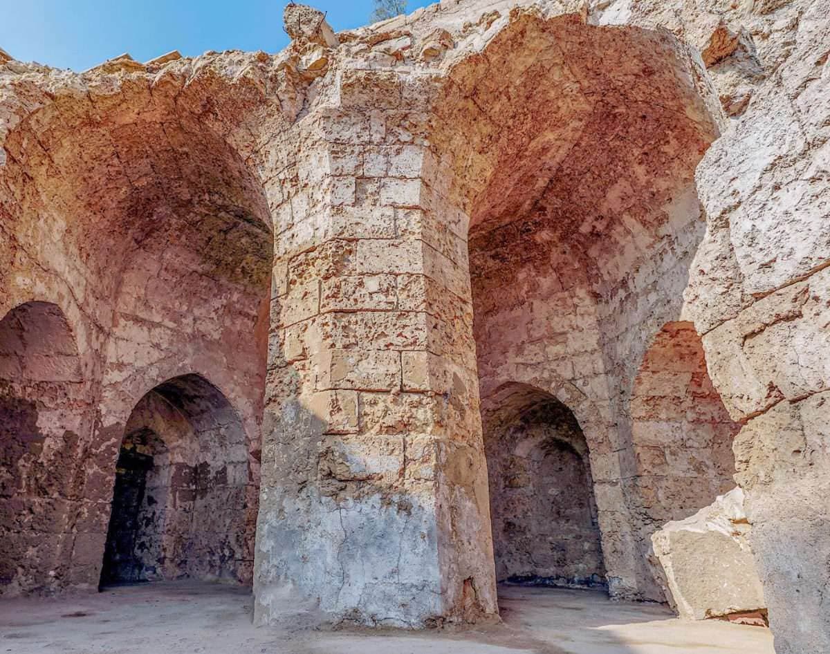 زبیدہ کی آنکھ کی پشت