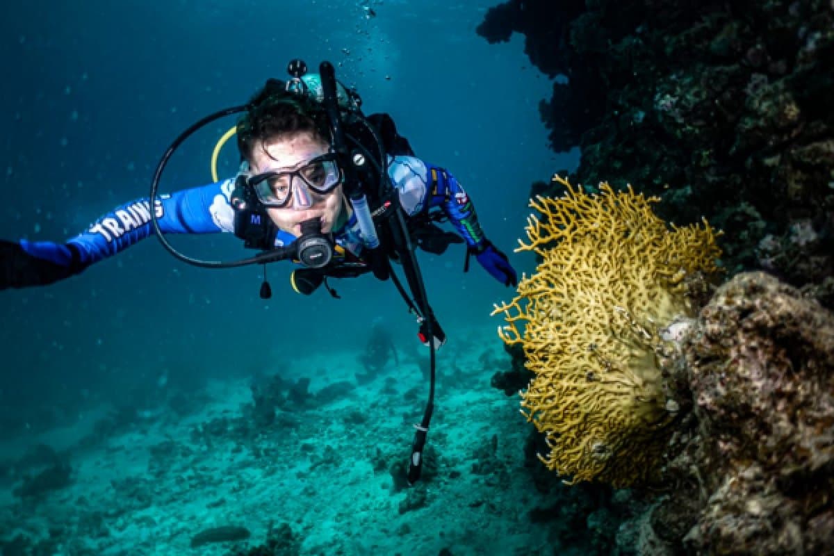 A diving experience in the Red Sea in Jeddah