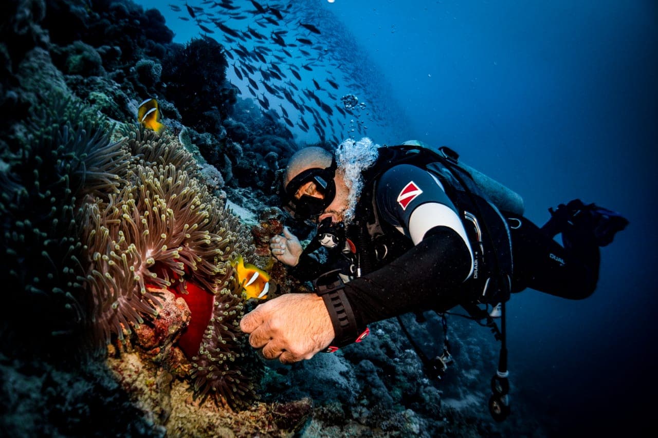 A diving experience in the Red Sea in Jeddah