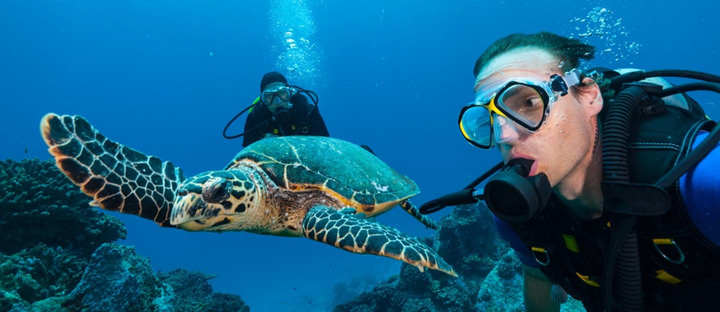 A diving experience in the Red Sea in Jeddah