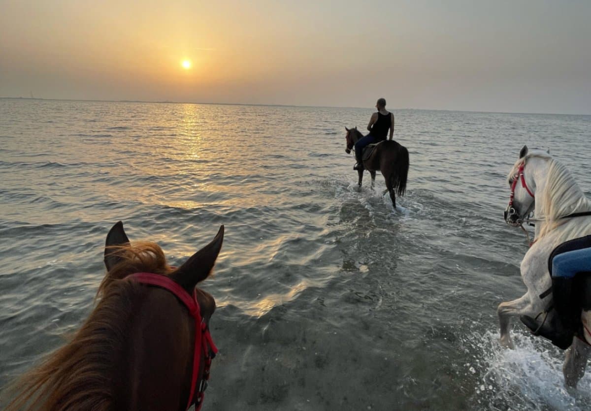 Berkuda di Al-Khobar