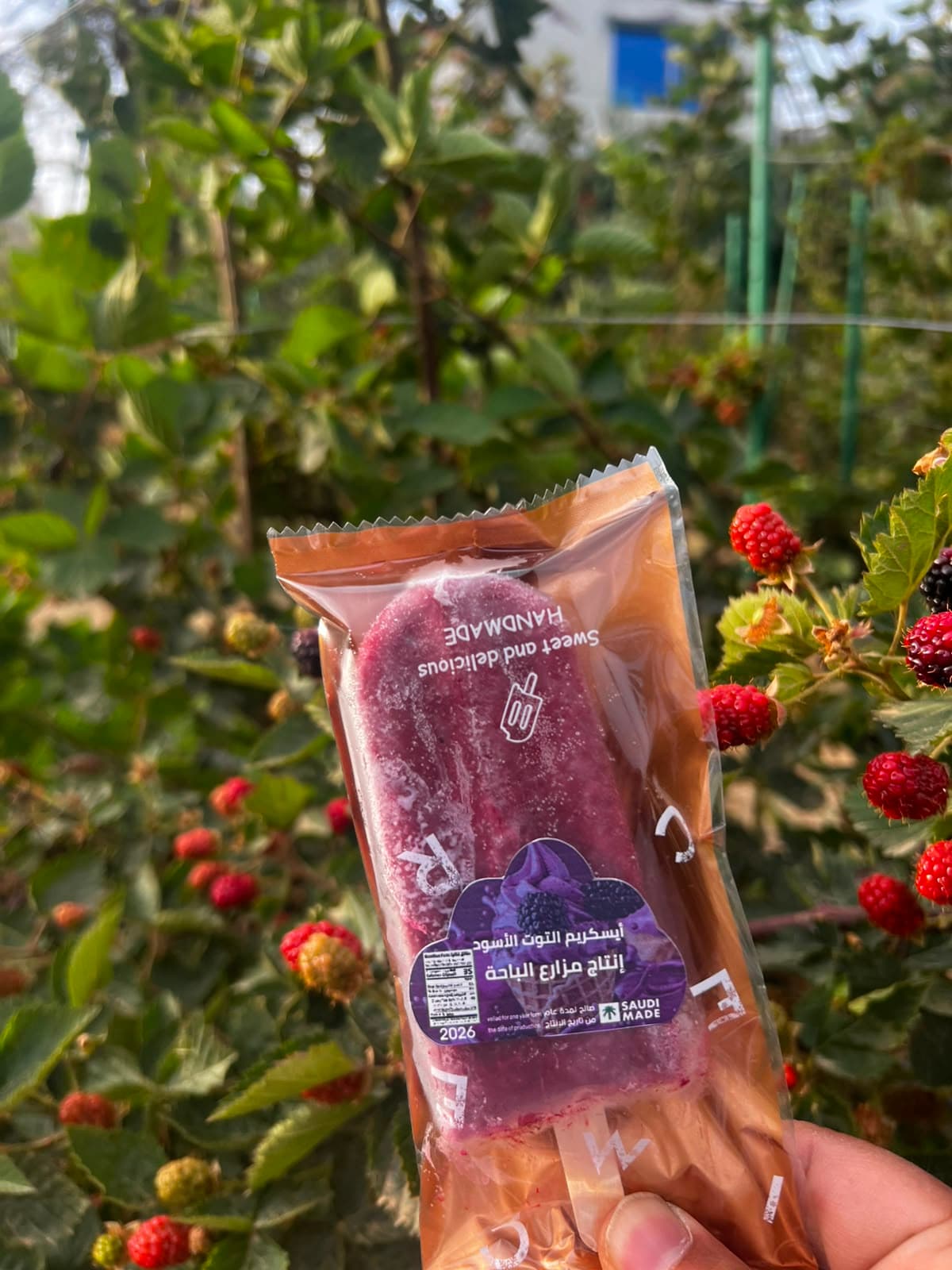 From berries to ice cream | A rustic experience in the courtyard