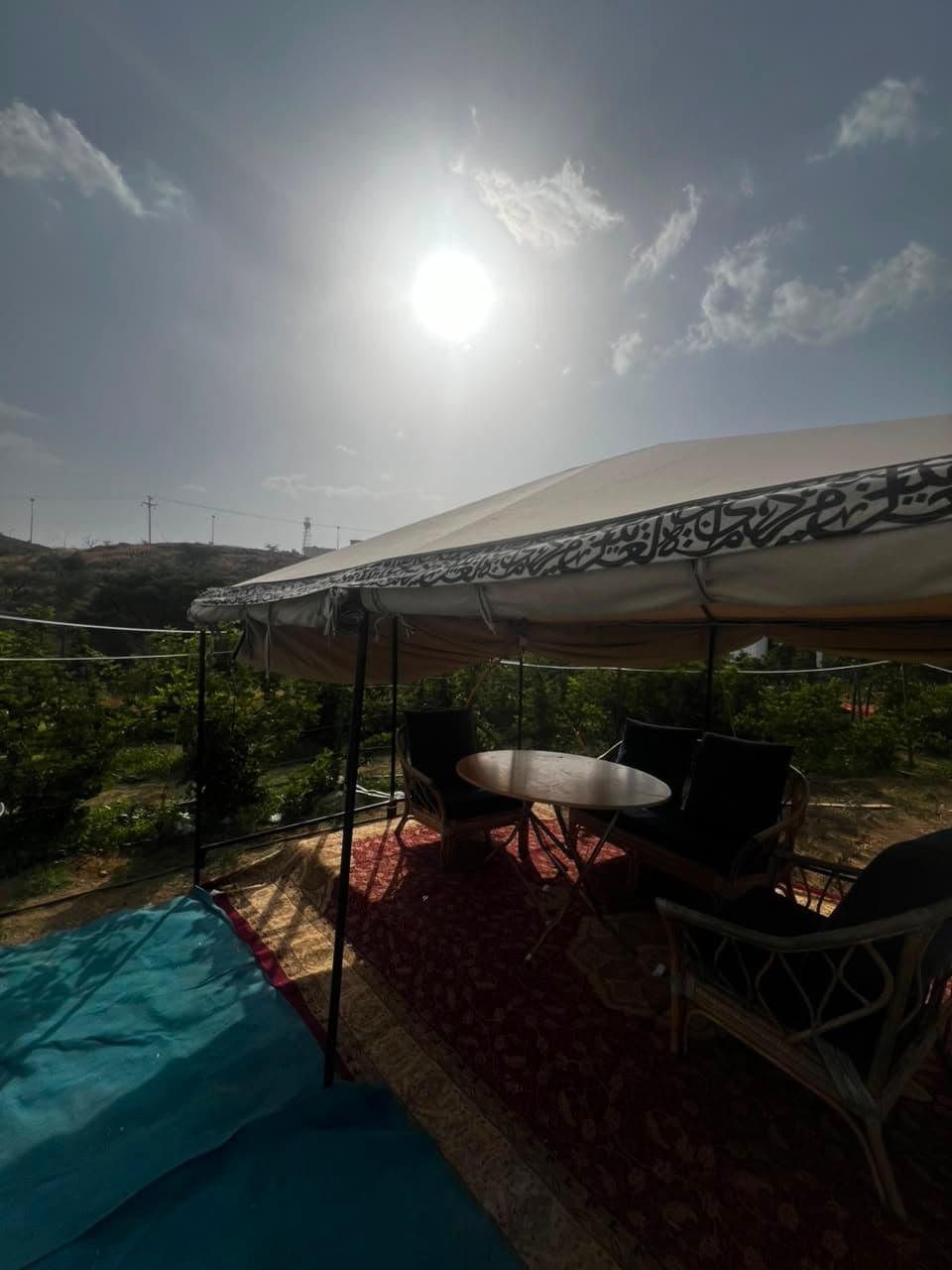 From berries to ice cream | A rustic experience in the courtyard