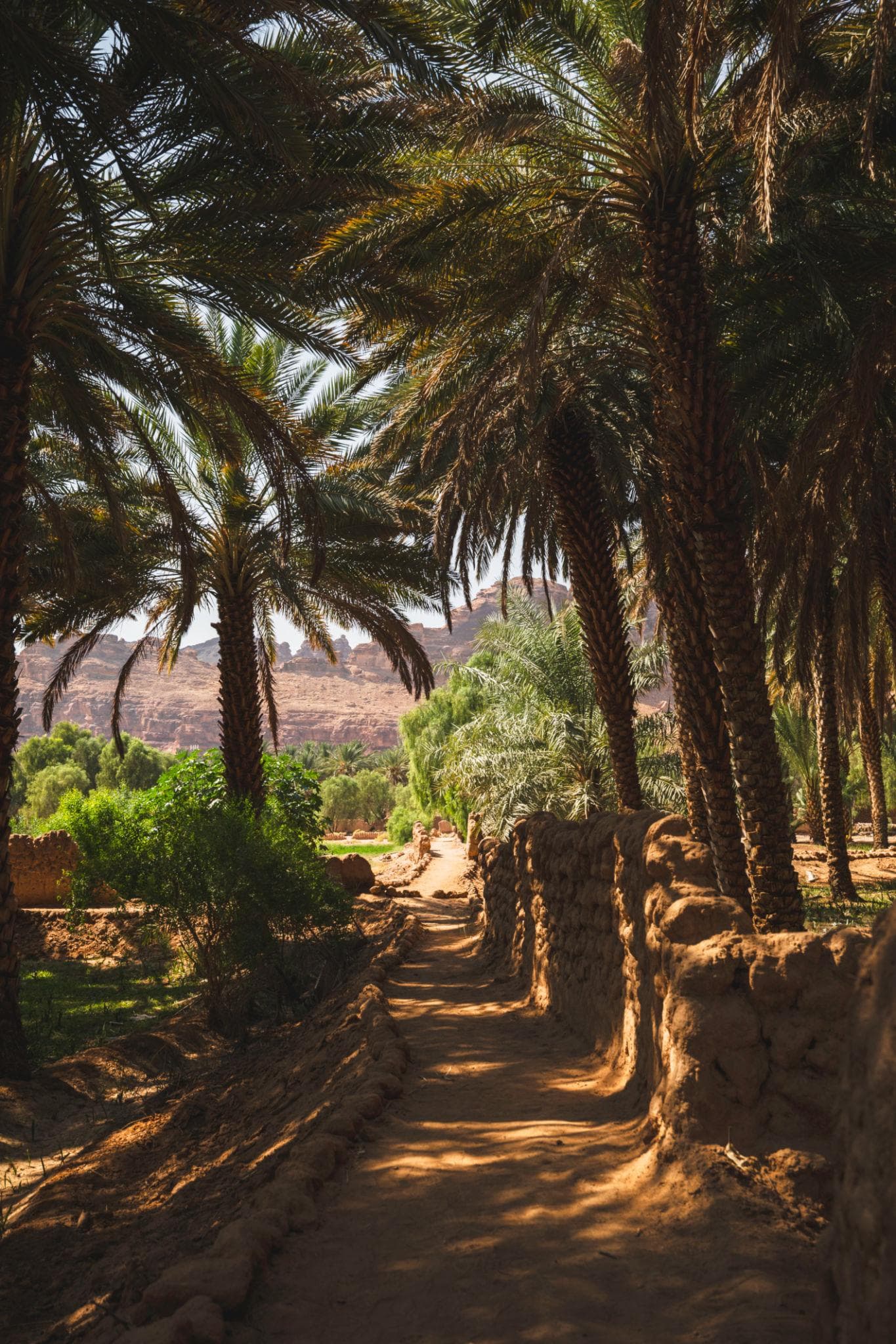 ہیریٹیج اویسس ٹریل ٹکٹ – ایک شخص