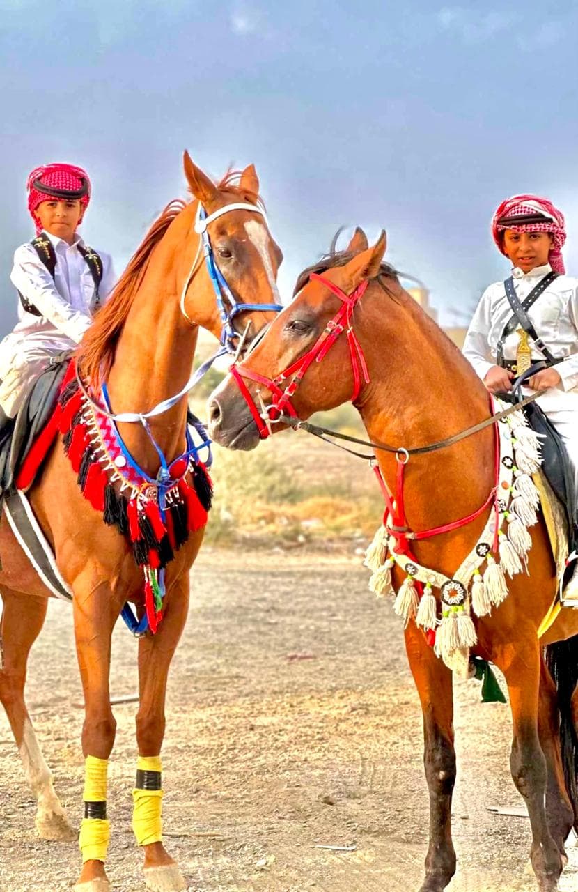 گھڑ سواری کا زمرہ - انفرادی تجربہ
